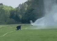 a man is kneeling down in front of a sprinkler spraying water on a field .