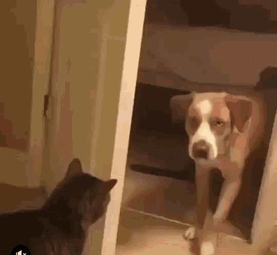 Door Closed Go Out GIF - Door Closed Go Out GIFs