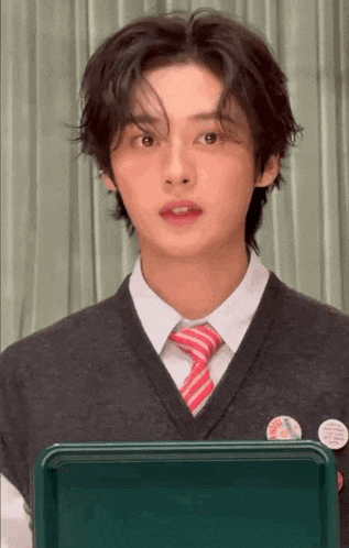 a young man wearing a sweater vest and tie is standing in front of a laptop .