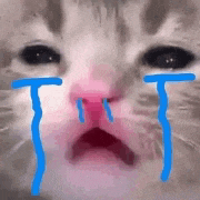 a close up of a cat 's face with blue tears coming out of it 's eyes .