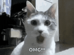 a cat is sitting on a table with its mouth open and says omg .