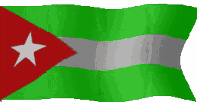 a green and red flag with a white star