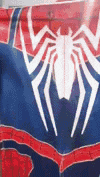 a close up of the back of a spiderman costume .