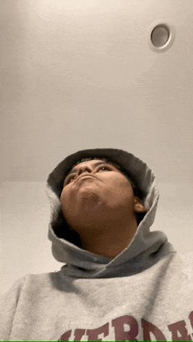 a person wearing a grey hoodie with the word terra on the front
