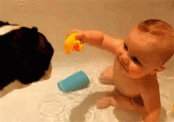 Baby Bath Time GIF - Baby Bath Time Dog GIFs