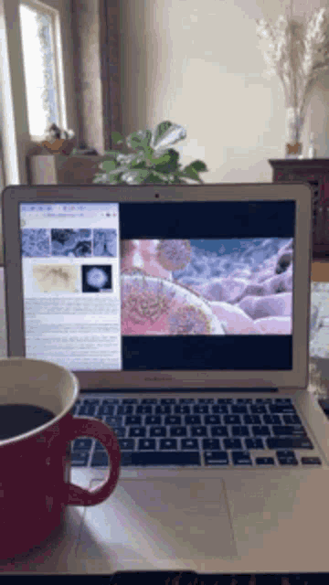 Ebola Virus GIF - Ebola Virus Laptop GIFs