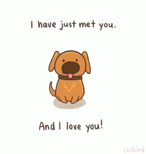 Dog I Have Just Met You And I Love You GIF - Dog I Have Just Met You And I Love You GIFs