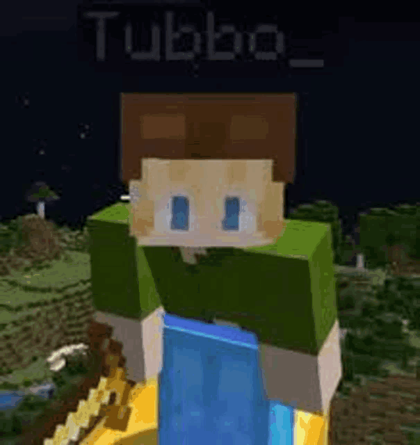a close up of a minecraft character wearing a green shirt .