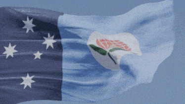 a blue and white flag with white stars and a pink flower on it