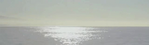 Ocean White GIF - Ocean White Sun GIFs