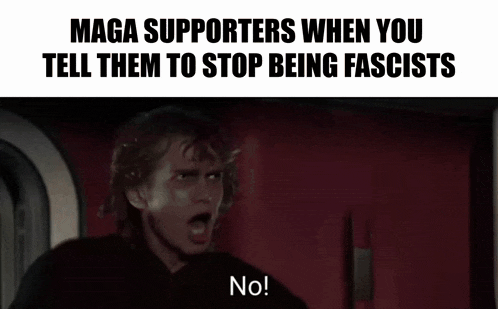 maga supporters when you tell them to stop being fascists , no !