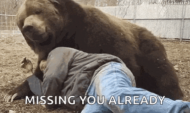 a large brown bear is laying on top of a man 's head .