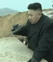 Kim Jong Un Fuck You GIF - Kim Jong Un Fuck You Kid GIFs