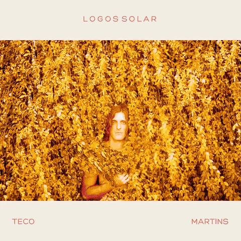 a man is covered in leaves on the cover of logos solar by teco martins