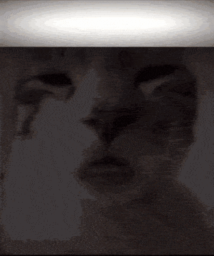 a close up of a cat 's face with a white light behind it