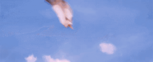 a stork is flying over a bridge in the sky