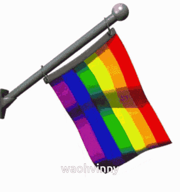 a rainbow flag is hanging from a pole with the name wachvinny written on the bottom