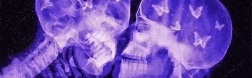 a couple of skulls are kissing each other in a purple light with butterflies flying around them .