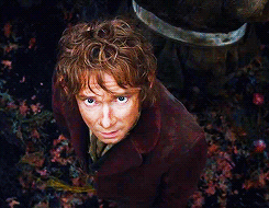 Why?! GIF - Hobbit Why Dontleave GIFs