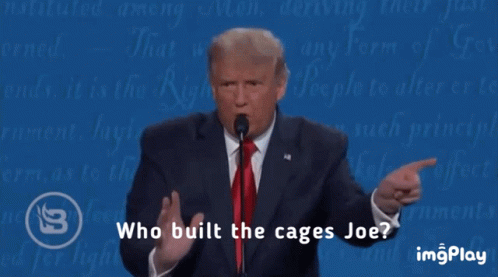 Who Cages GIF - Who Cages Built GIFs