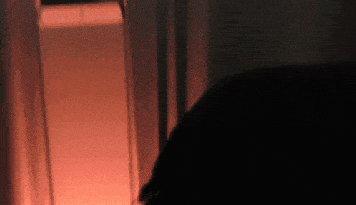 a person standing in a dark room with a red light