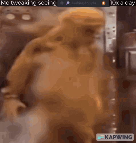 a picture of a dog with the caption me tweaking seeing 10x a day