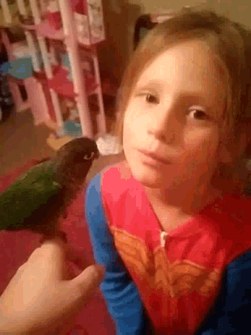 a little girl wearing a wonder woman shirt is holding a parrot