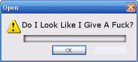 a computer screen asking do i look like i gave a fuck