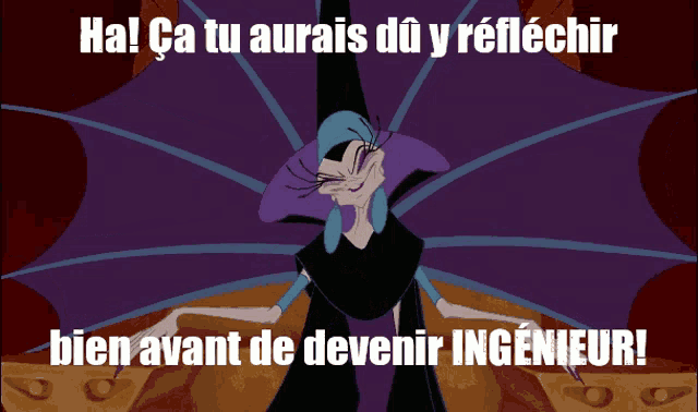 a cartoon character with the words ha ca tu aurais du y reflechir bien avant de devenir ingenieur written below her