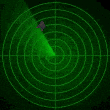 a green radar screen with a cartoon character in the middle