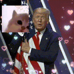 a man in a suit and tie stands in front of an american flag with a picture of a cat behind him