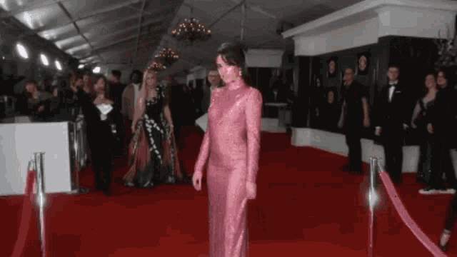 a woman in a pink dress stands on the red carpet