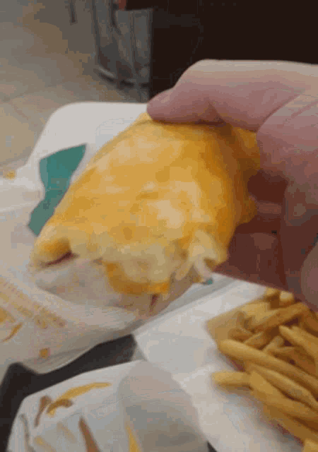 a person is holding a taco with cheese and french fries