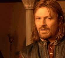 One Does Not Simply Ignore Franci GIF - One Does Not Simply Ignore Franci GIFs