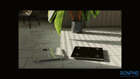 two scales on a tiled floor next to a plant with the word renpho on the bottom