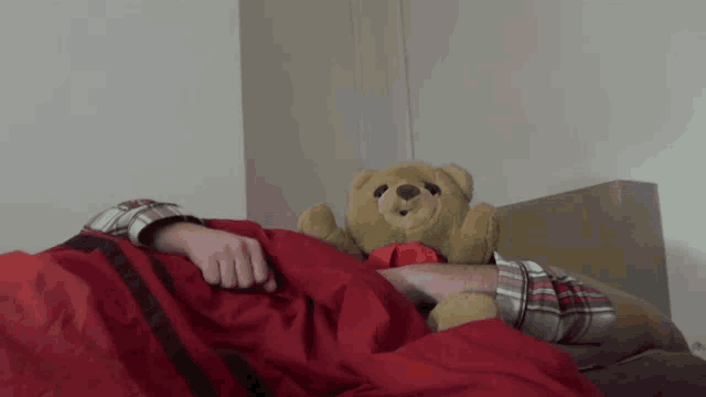 a person laying under a red blanket holding a brown teddy bear
