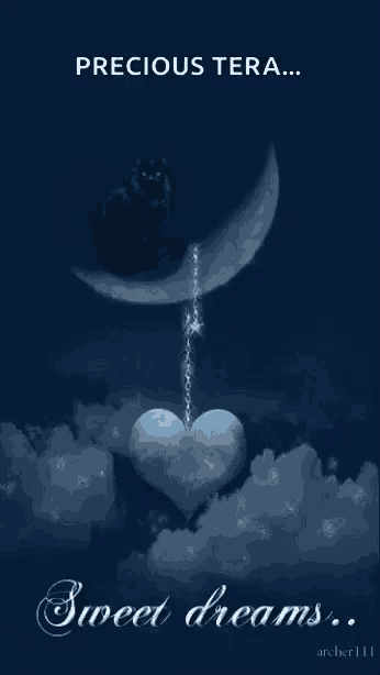 a picture of a cat sitting on a crescent moon with the words precious tera sweet dreams below it