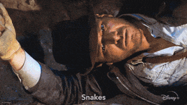Snakes Why'D It Have To Be Snakes Indiana Jones GIF - Snakes Why'D It Have To Be Snakes Indiana Jones Indiana Jones And The Raiders Of The Lost Ark GIFs