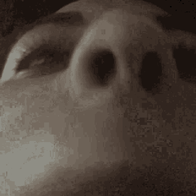 a close up of a person 's nose with their eyes open .