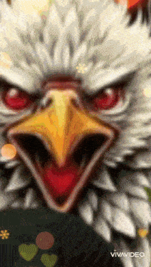 a close up of an eagle with its beak open