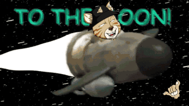 a cartoon of a cat on a rocket with the words " to the moon " above it