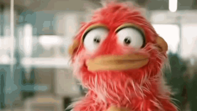 a close up of a red stuffed animal with a yellow beak and big eyes .