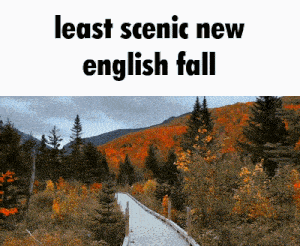 New England New England Fall GIF - New England New England Fall New England Autumn GIFs