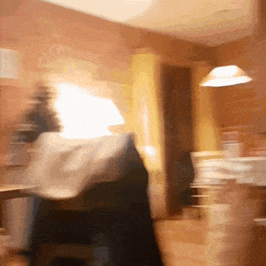 a blurry picture of a person standing in a kitchen