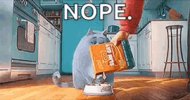 a cat is eating food from a bowl in a kitchen and a person is holding a bag of food .