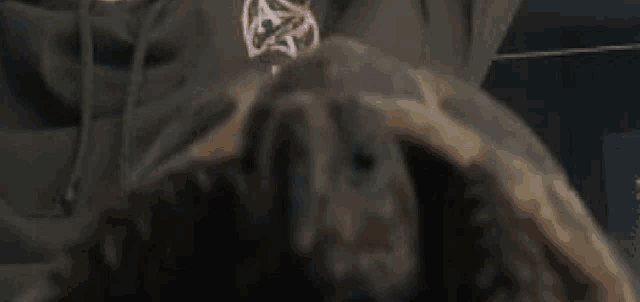 a close up of a person 's face with a turtle 's head in the foreground .