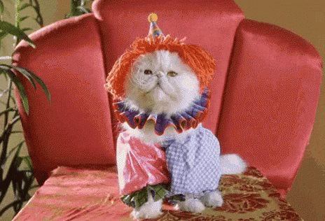 Tinkles Cat GIF - Tinkles Cat Cute GIFs