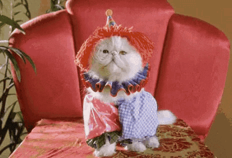 a cat wearing a clown costume is sitting on a chair .