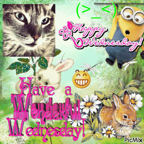 a happy wednesday greeting card with a cat and rabbit