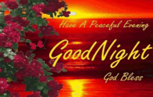 a good night card with a sunset and flowers